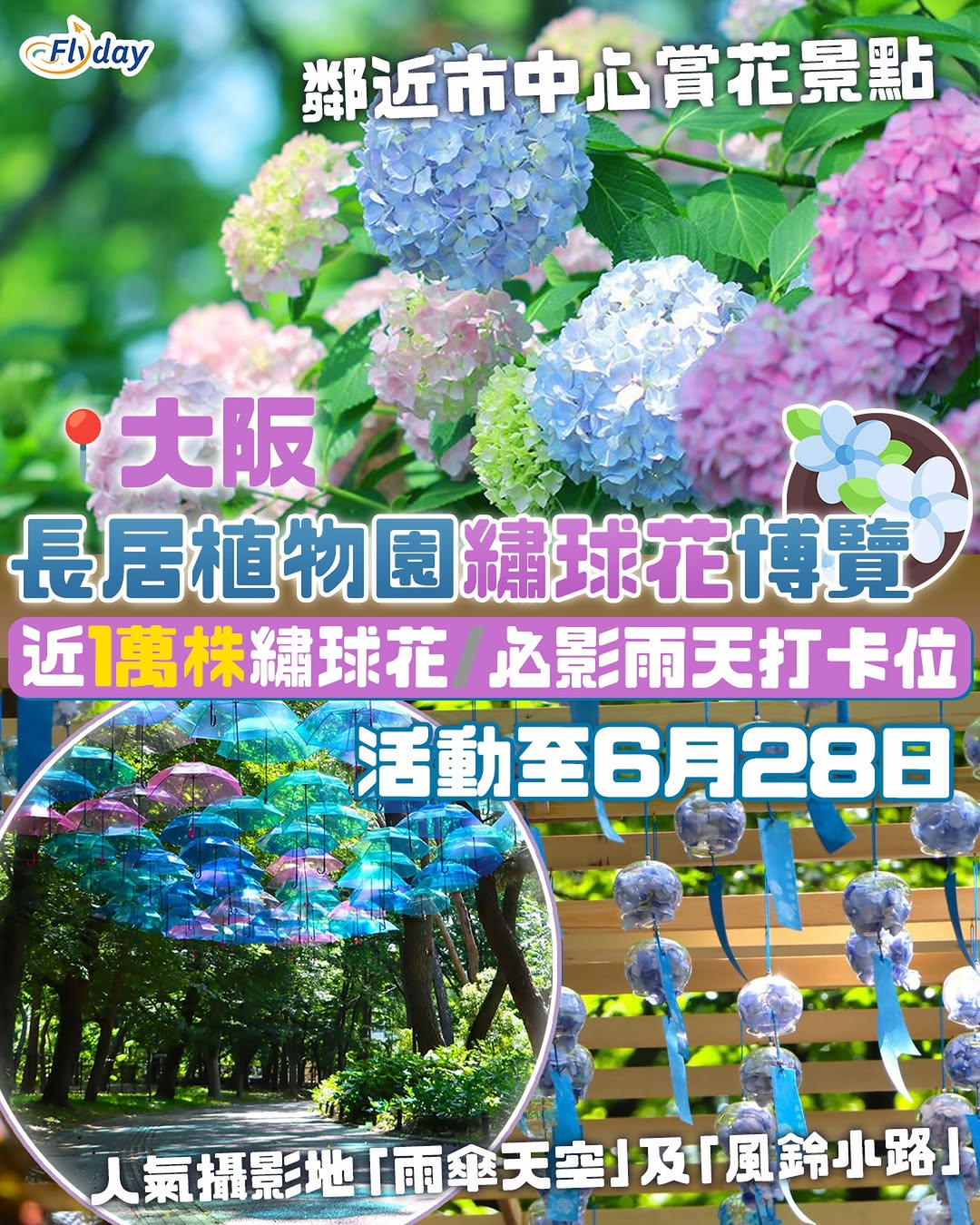 Osaka Nagai Botanical Garden Hydrangea Festival