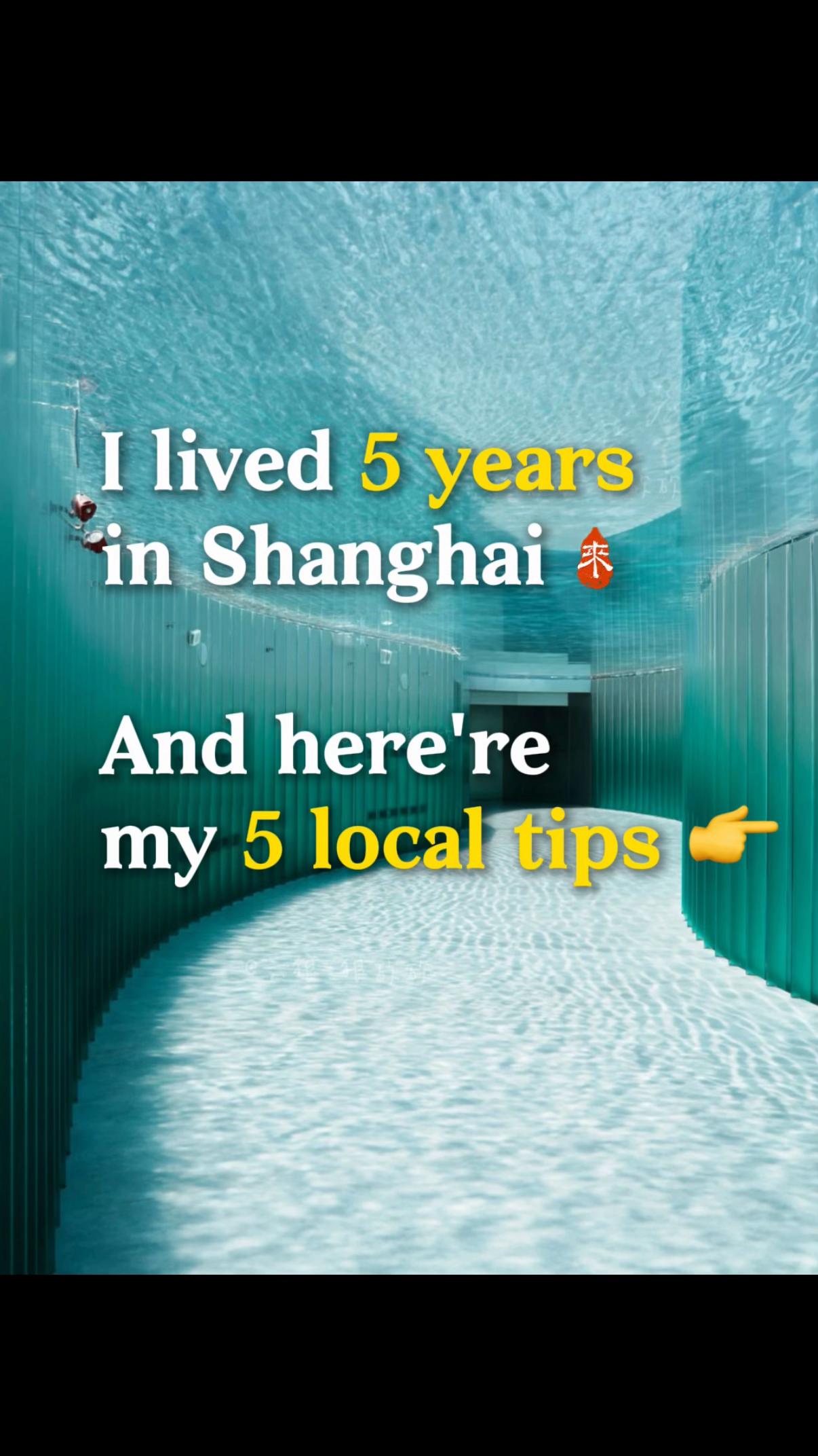 Shanghai Local Insights And Authentic Experiences