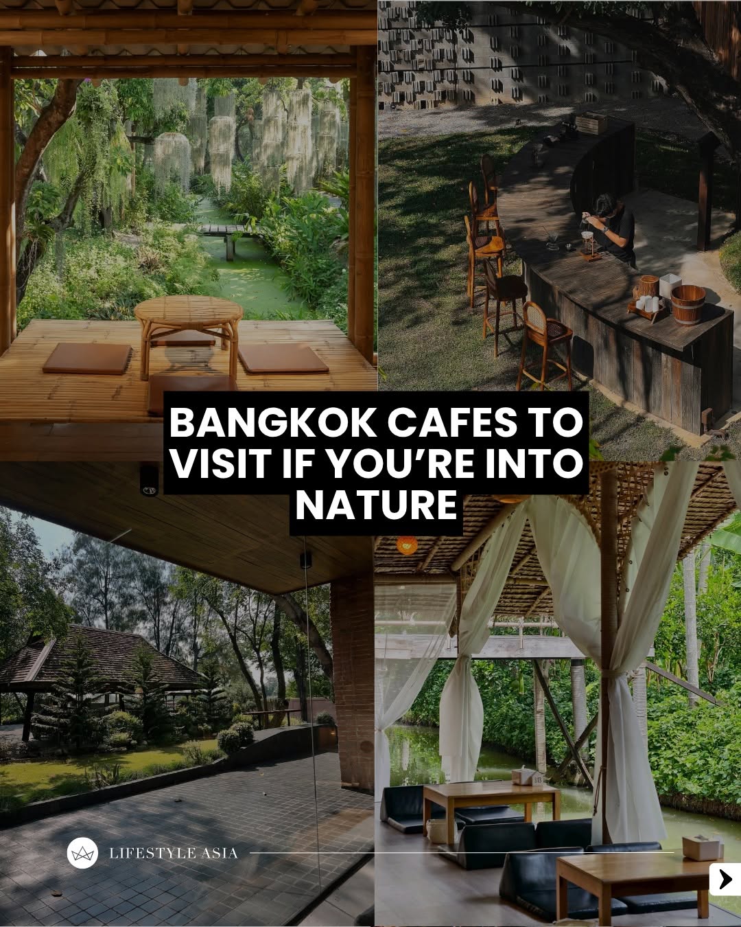Bangkok Cafes Offer Green Escapes from Urban Life