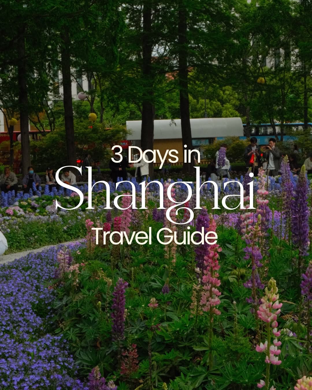 Shanghai Highlights: Historic Sites and Modern Wonders