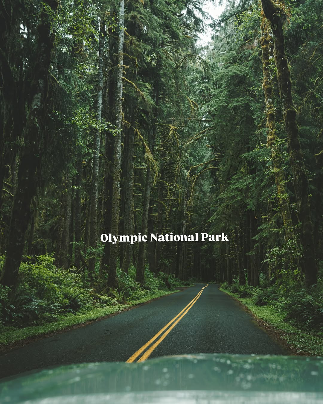 Olympic Peninsula's Natural Wonders