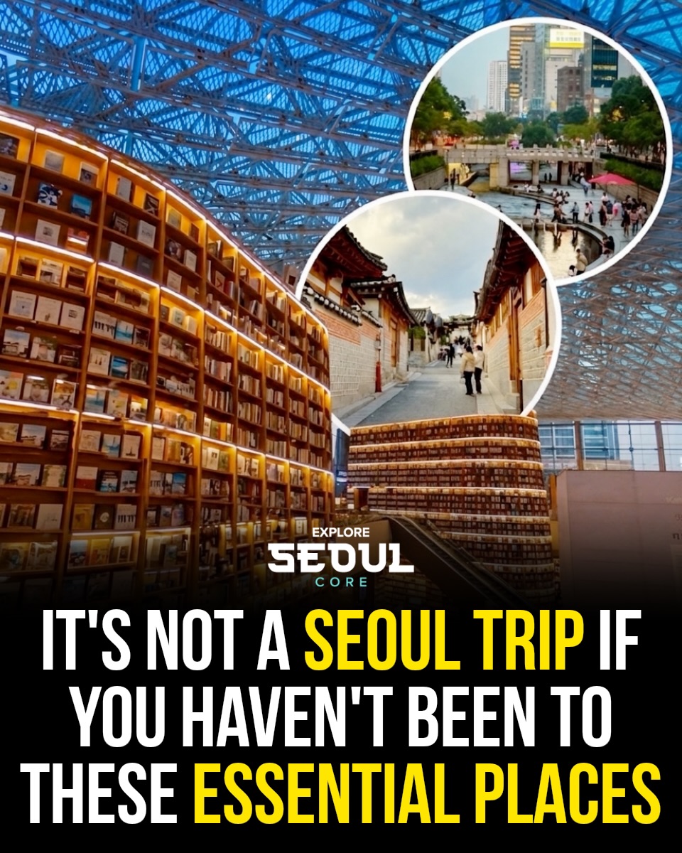 Seoul's Top Attractions and Transportation Guide