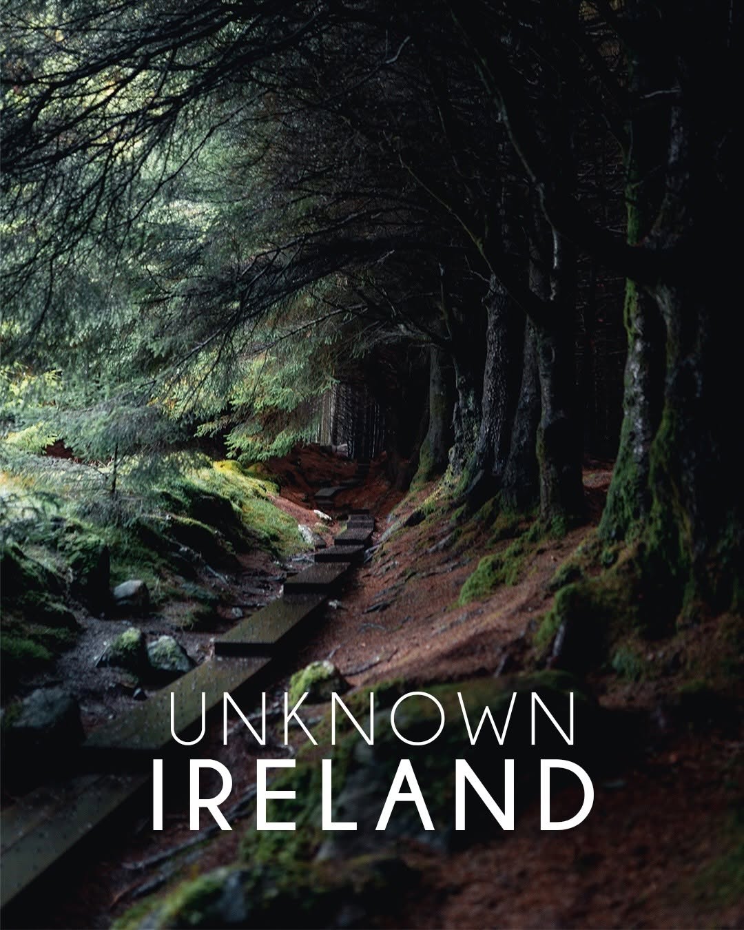 Irish Castles, Abbeys, Beaches, and Natural Wonders