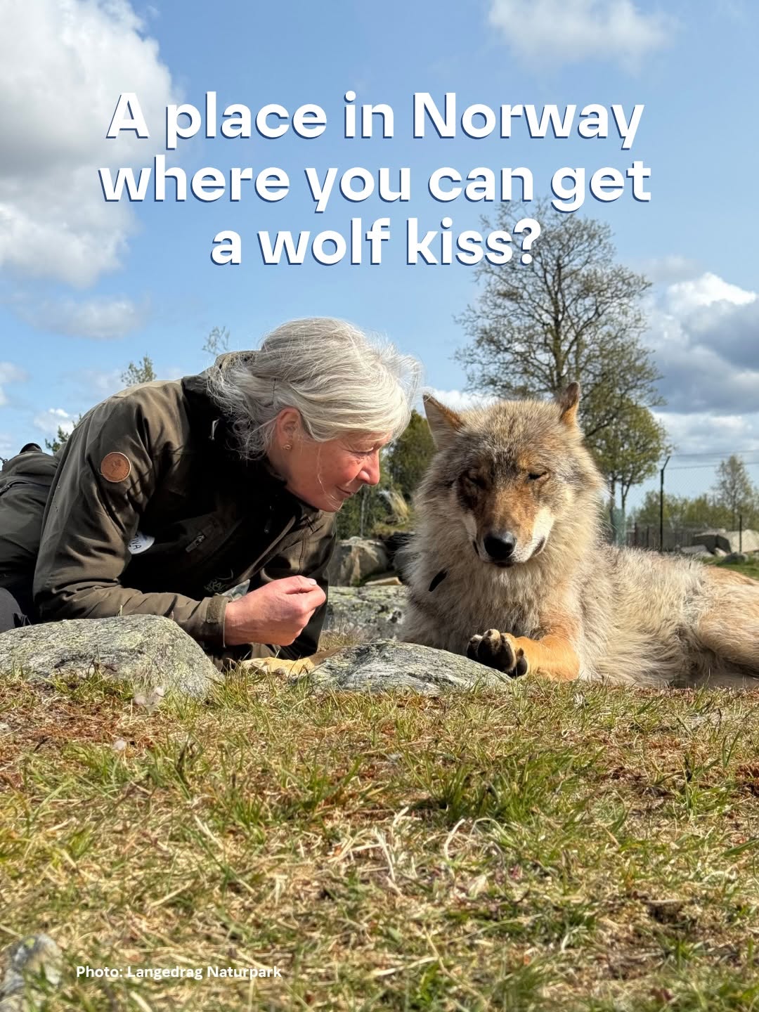 Meet Iconic Norwegian Animals At Langedrag Nature Park