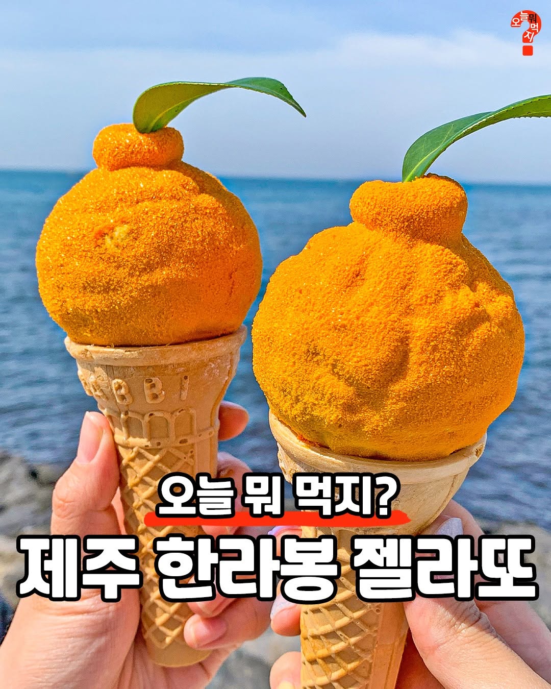 Jeju's Adorable Hallabong Gelato