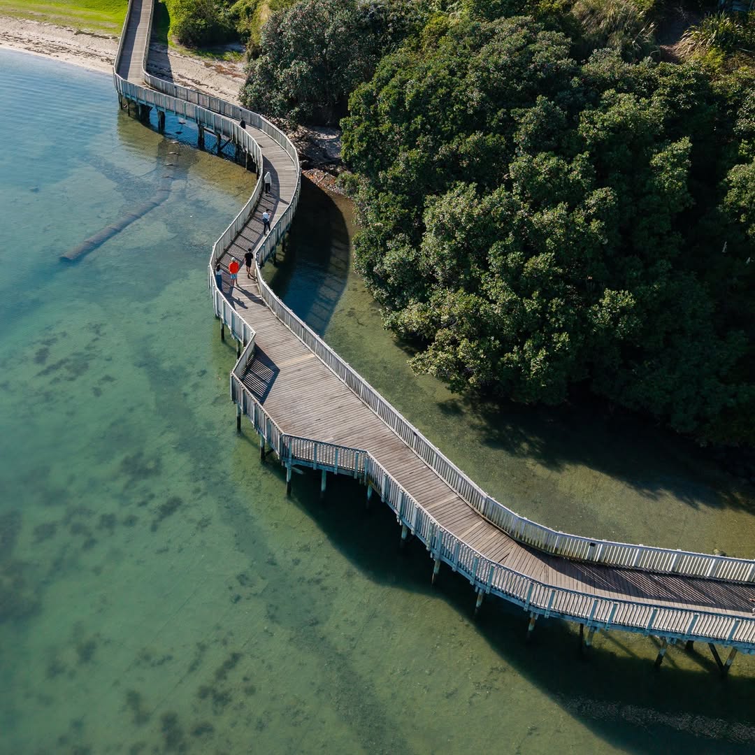 East Auckland's Best Beginner Walking Trails