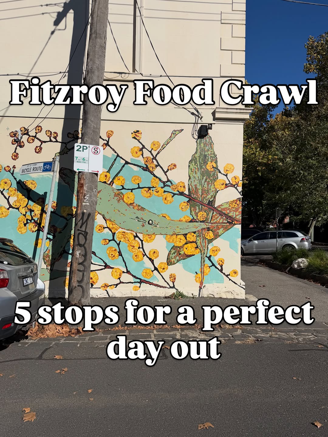 Fitzroy Food Crawl: From Pastries to Pubs