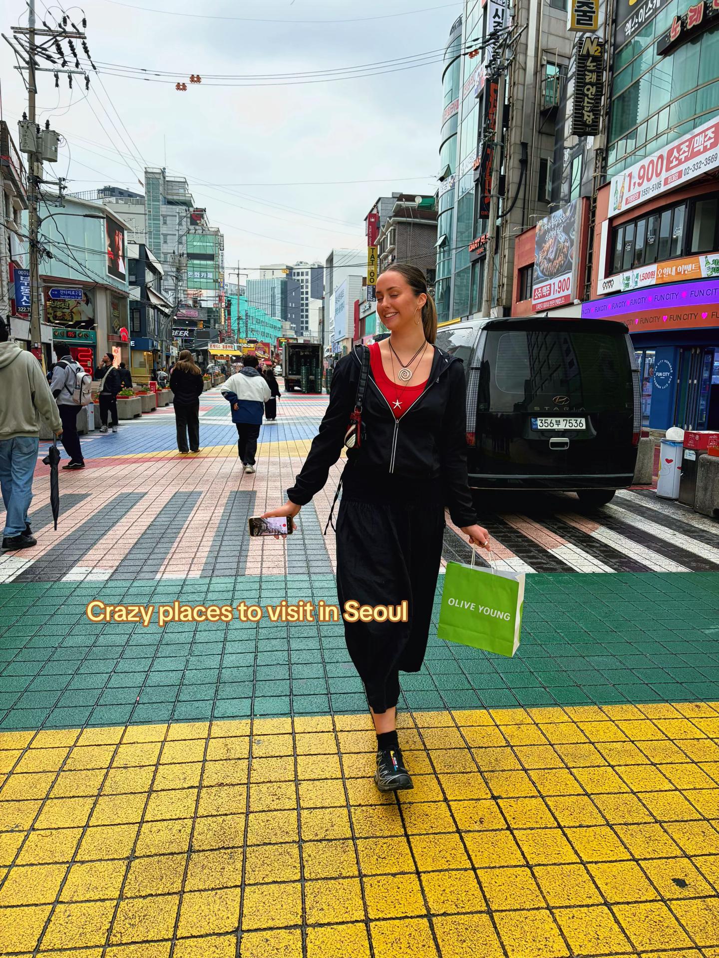 Seoul's Palaces, Tunnels, and Bridges