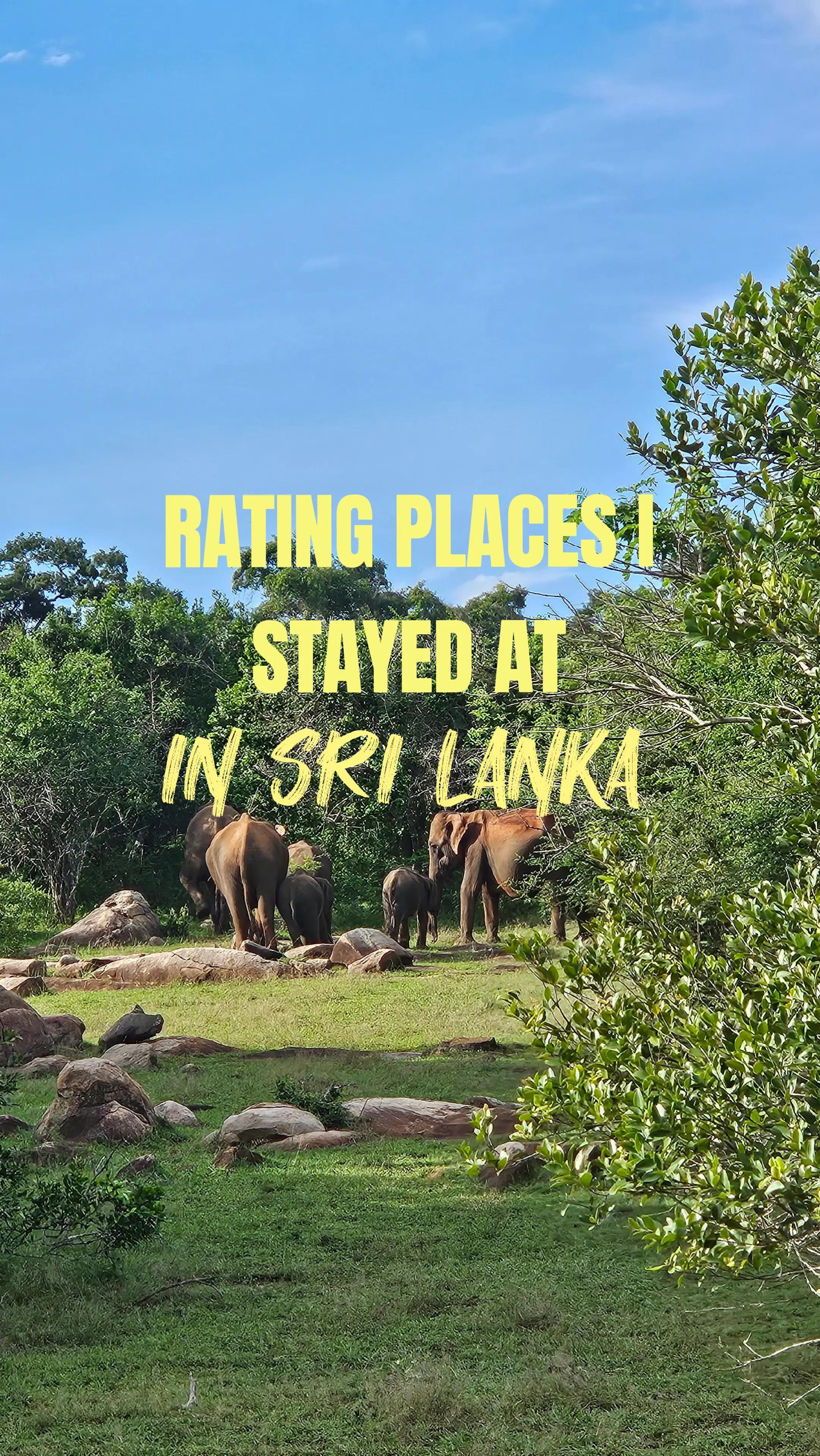 Sri Lankan Stays And Hostels