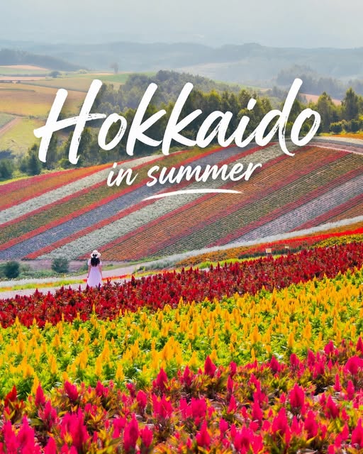 Hokkaido's Unforgettable Summer Road Trip Destinations