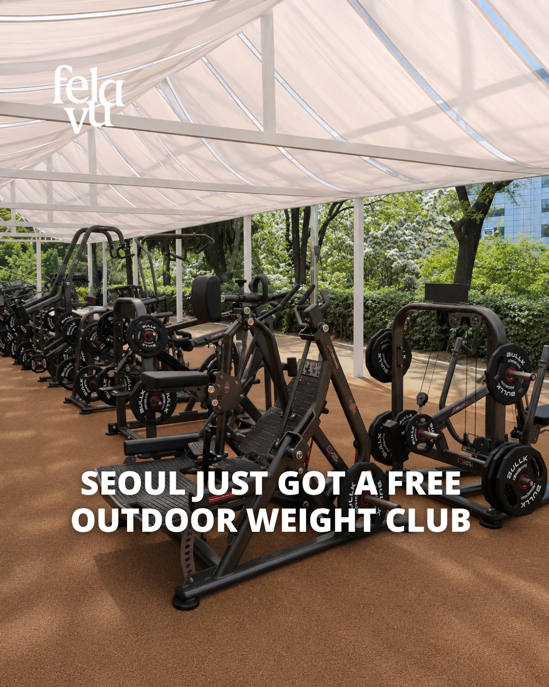 Seoul's Free Outdoor Workout Space at Sayuksin Park