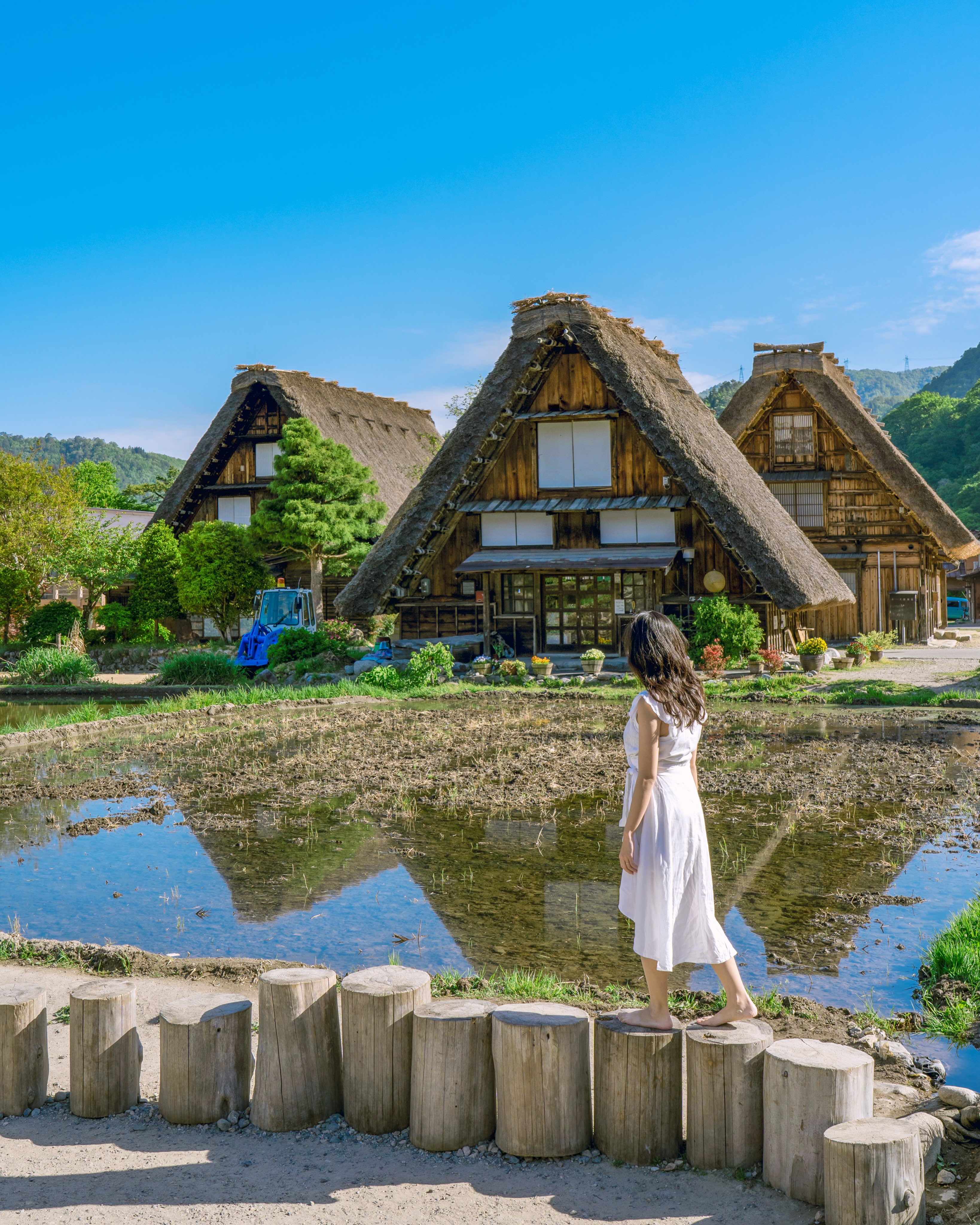 Gifu's Summer Wonders: Castles, Ponds, and Waterfalls