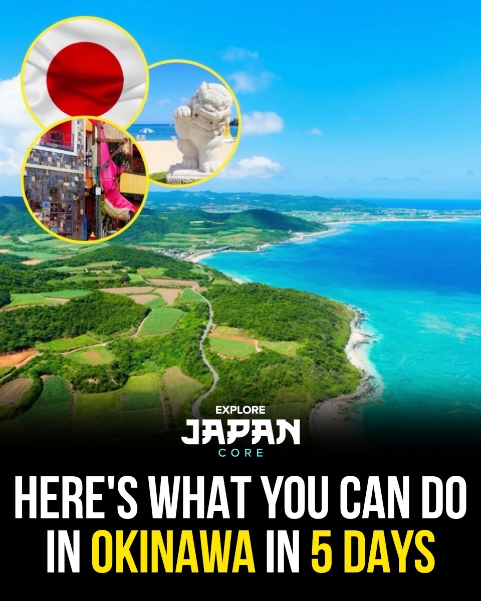 Okinawa's Historic Sites, Natural Wonders, and Islands