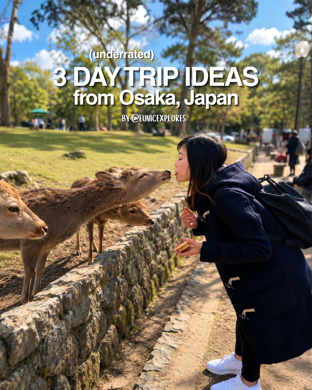 Hiroshima and Okayama Day Trips From Osaka
