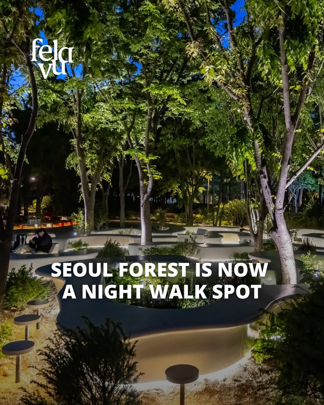 Seoul Forest Garden Expo Extends Summer Hours