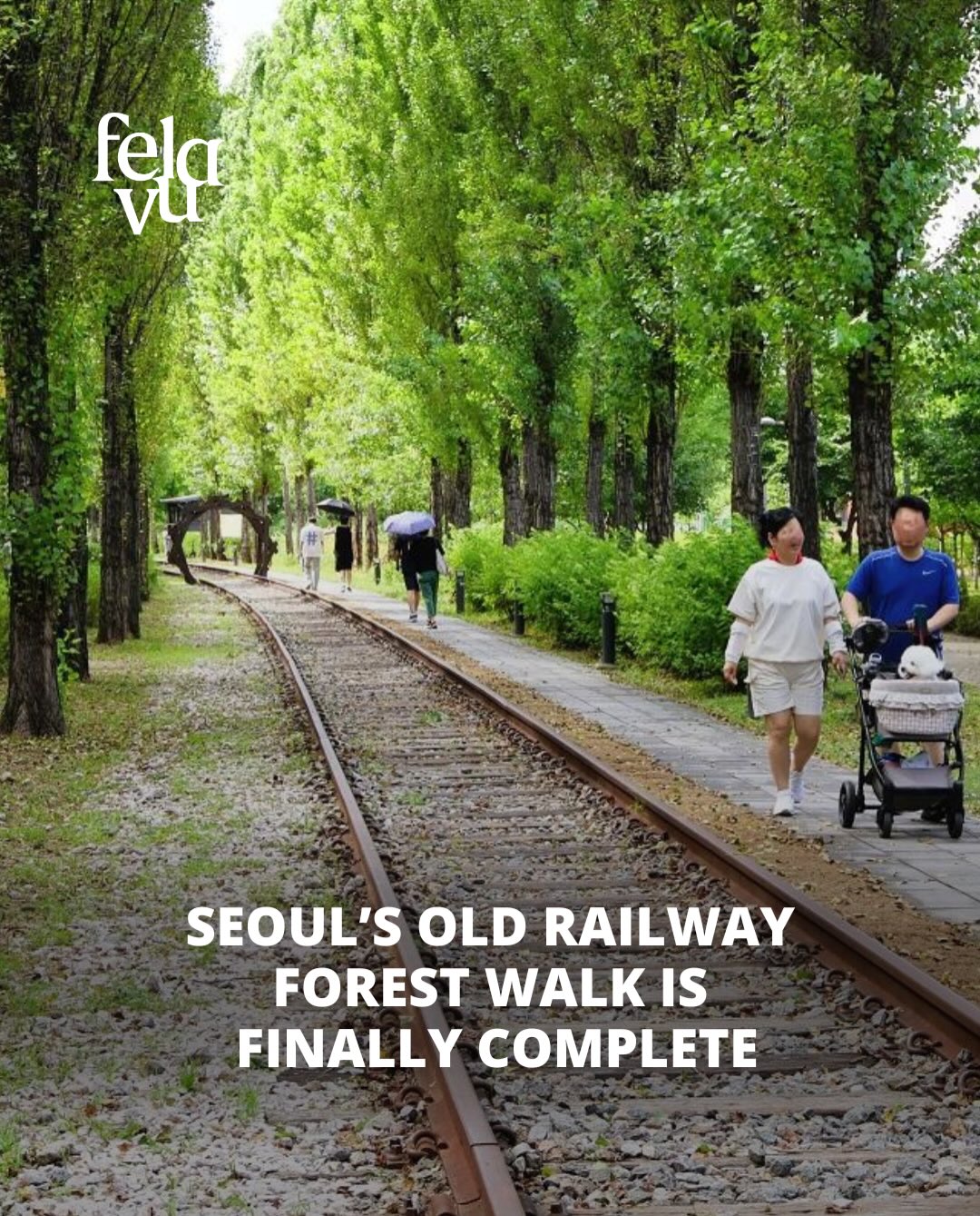 Gyeongchun Line Forest Trail Sections and Features