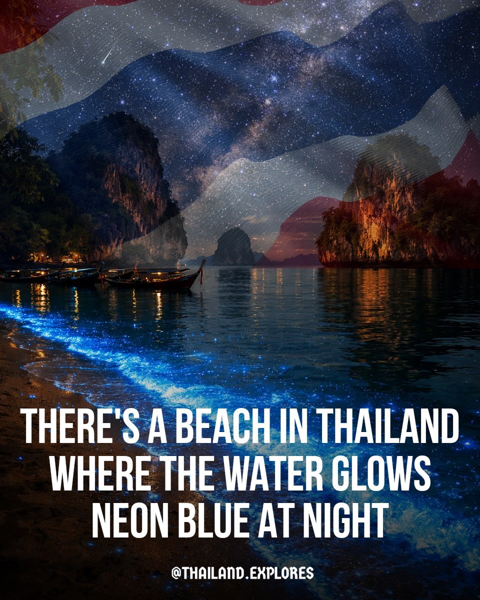 Thailand's Bioluminescent Beaches Light Up the Night