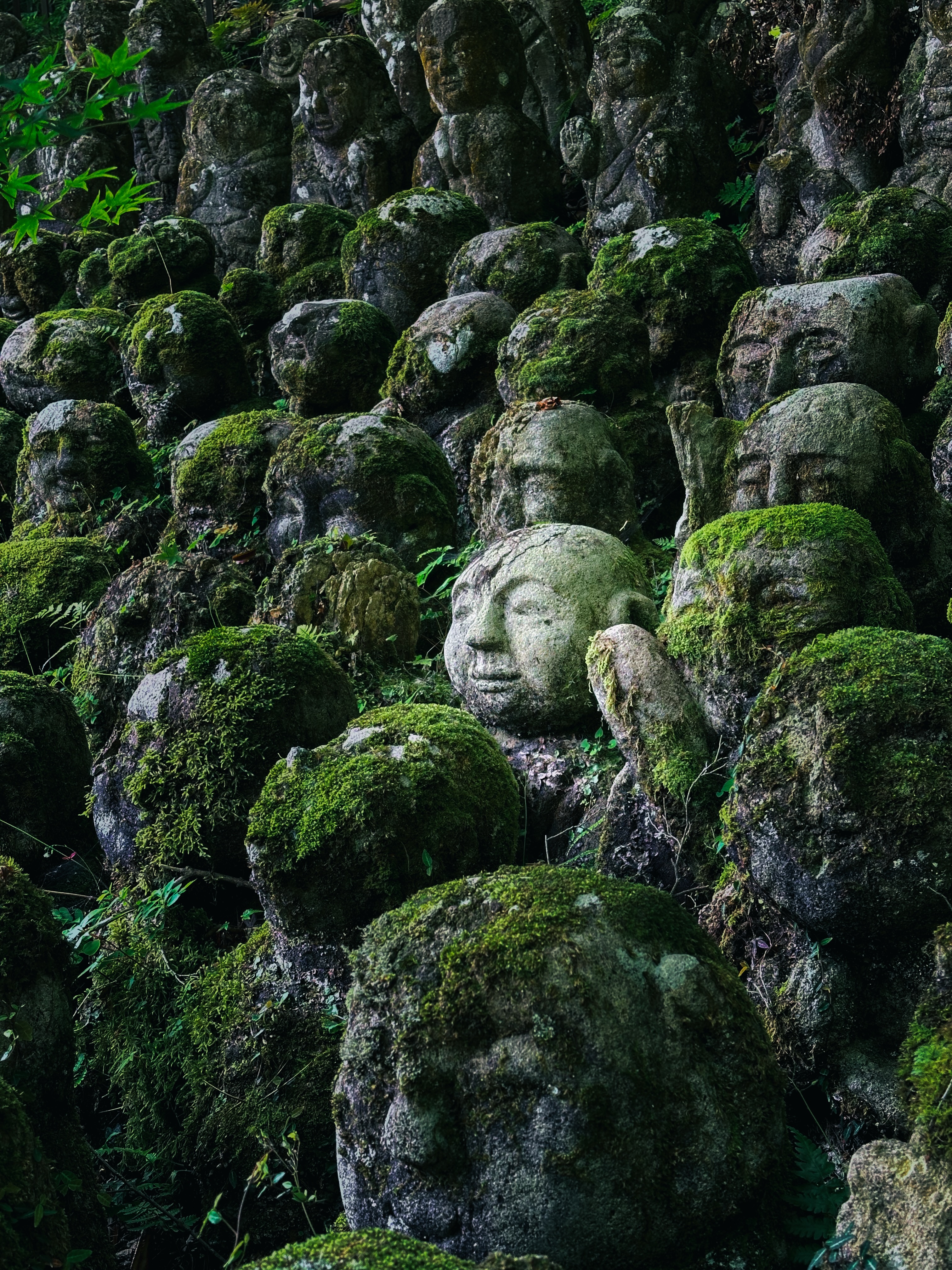 Otagi Nenbutsuji Temple: Moss-Covered Rakan Statues