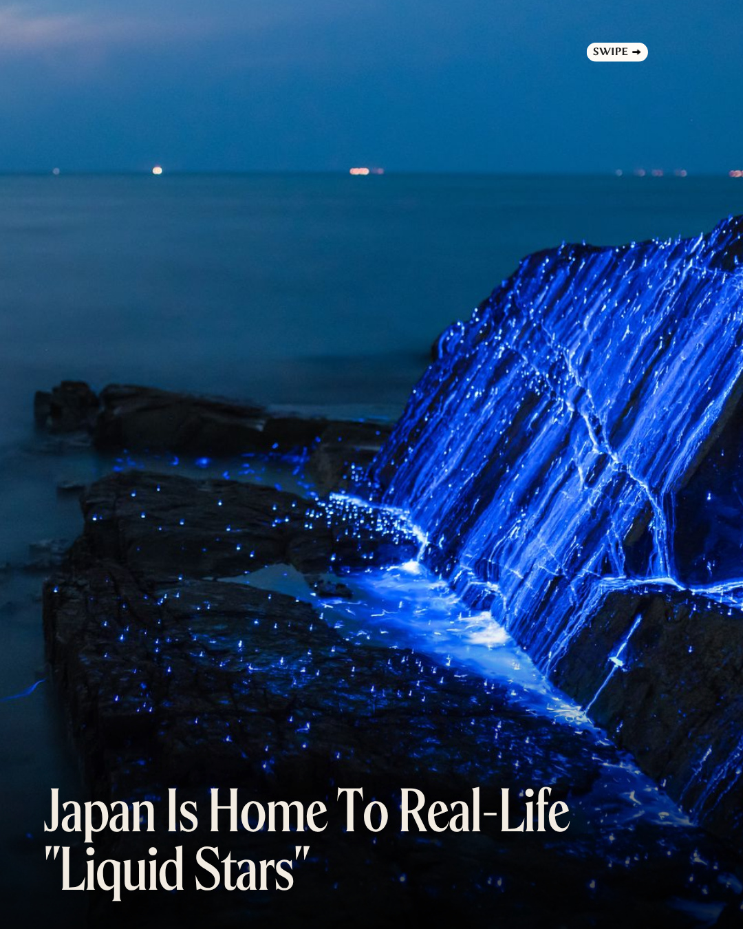 Seto Inland Sea's Bioluminescent Sea Fireflies