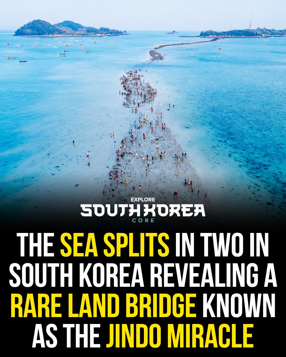 South Korea ๐ฐ๐ท | Travel | Hotels | Food | Tips, Jindo