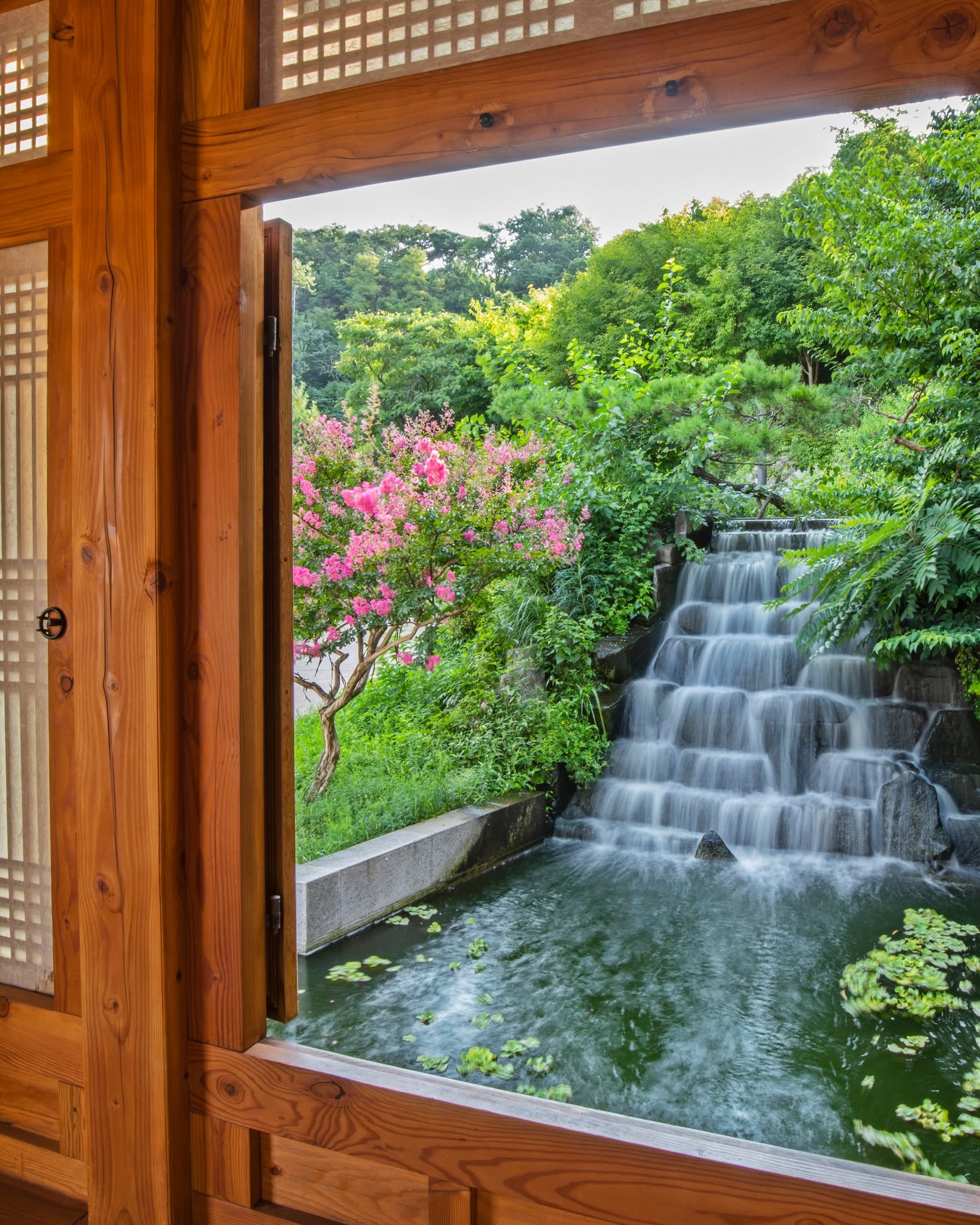 Seoul Summer Programs: Culture, Parks, and Libraries