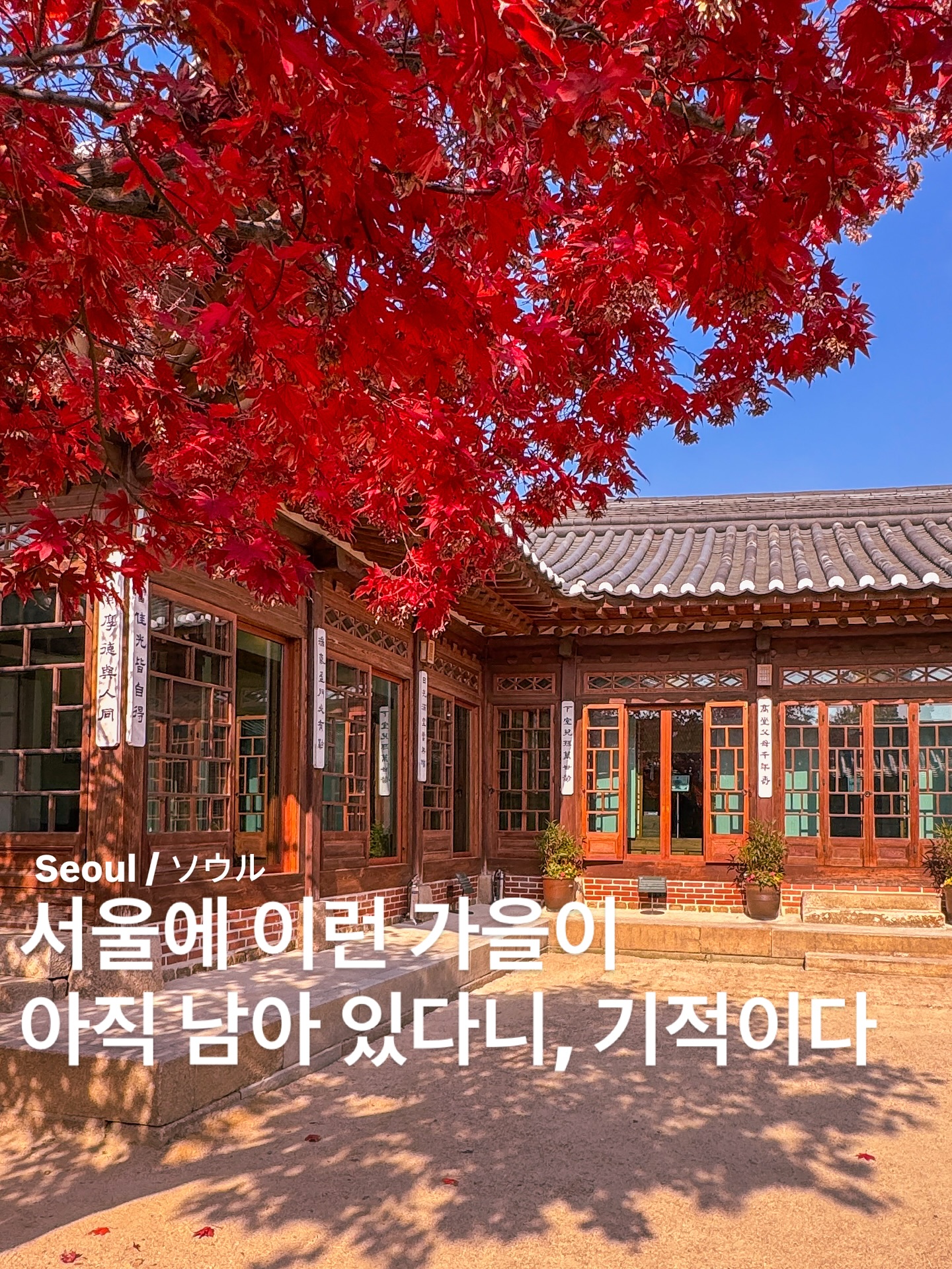 Last Chance To See Autumn Foliage At Baek Inje House
