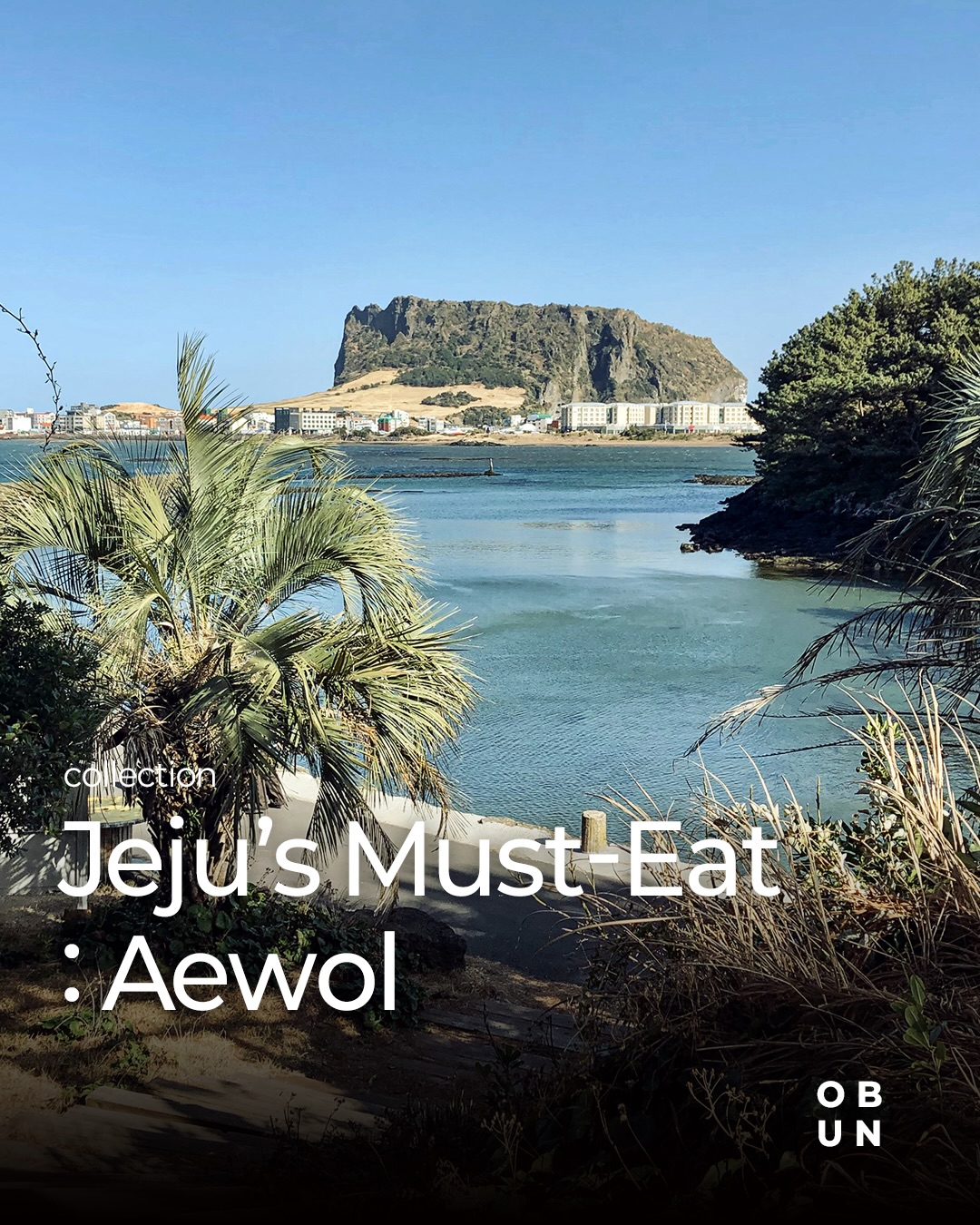 Trendy Dining Spots in Aewol, Jeju