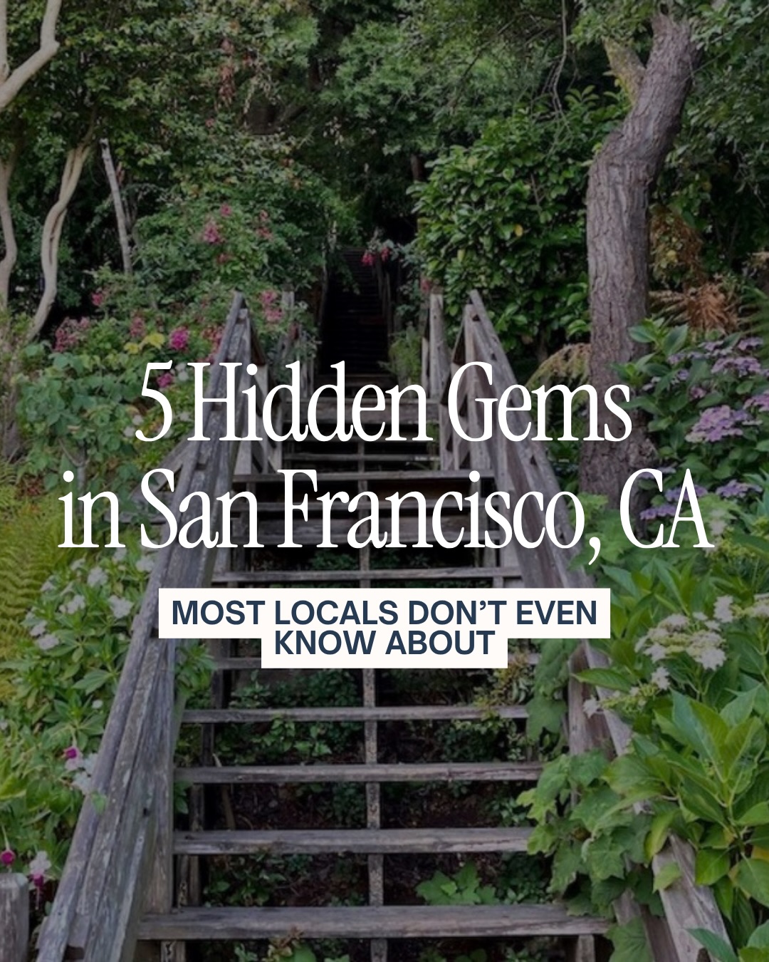 San Francisco's Secret Spots And Hidden Gems