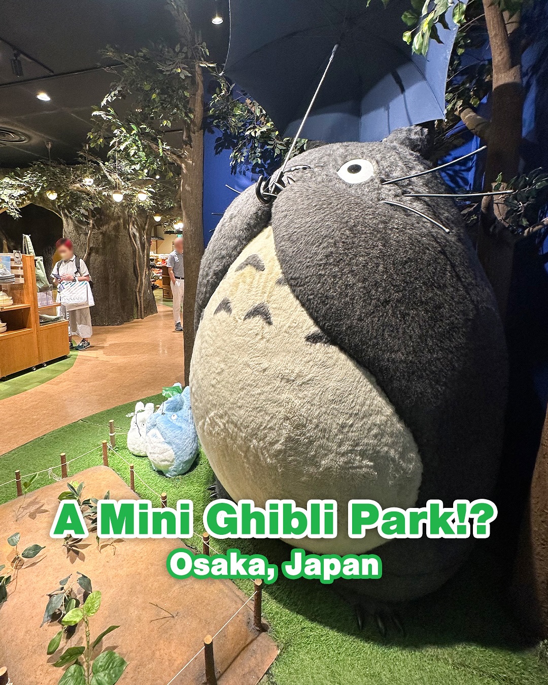 Donguri Republic: A Ghibli Fan's Dream in Osaka
