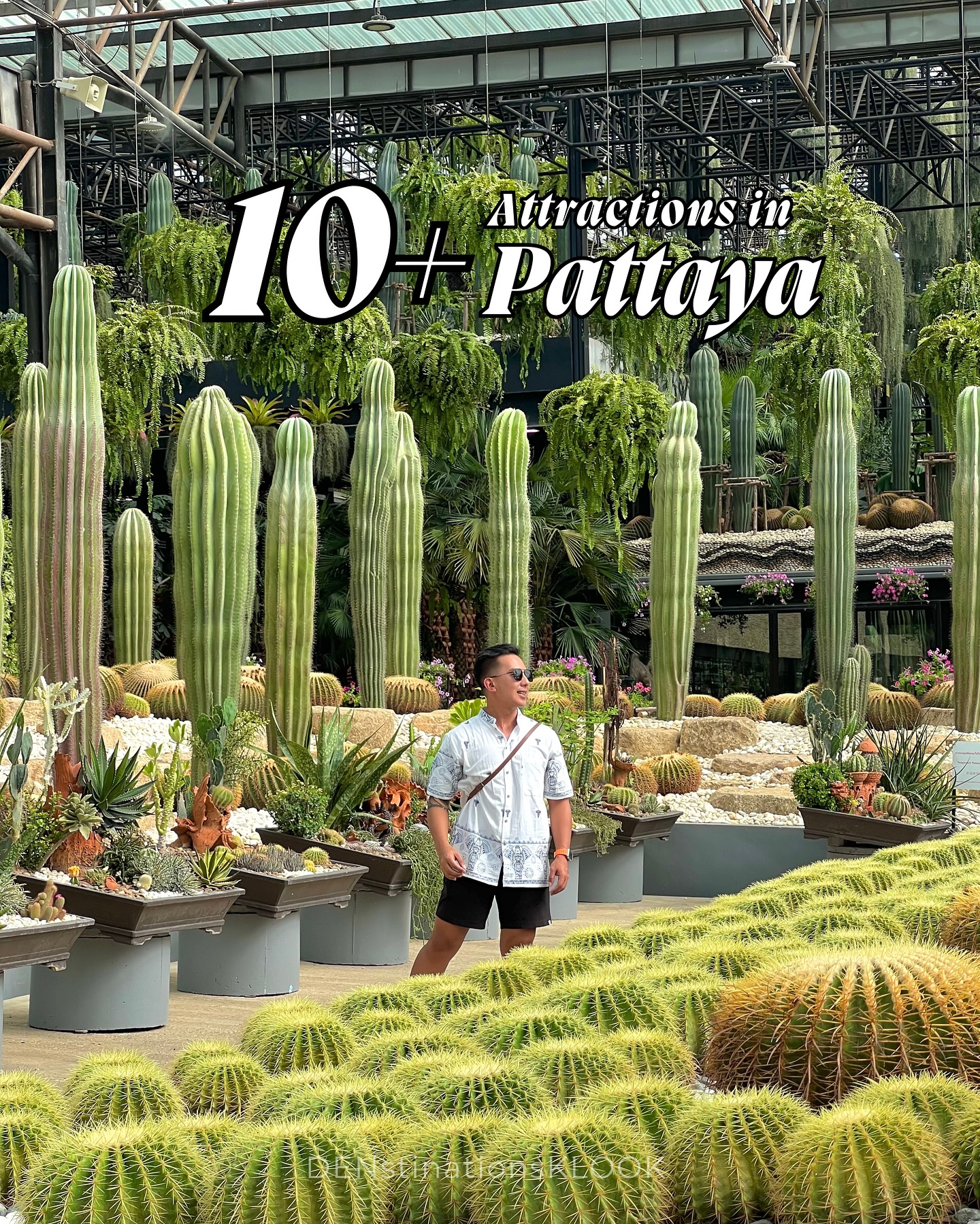 Pattaya Thailand Attractions And Travel Tips
