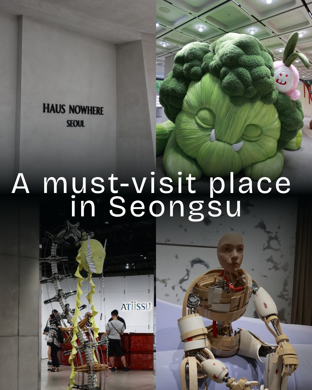 Gentle Monster's Multibrand Wonderlands