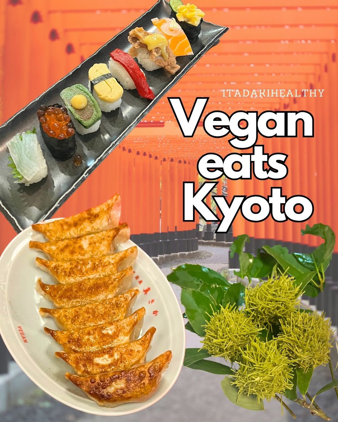 Kyoto's Top Vegan & Vegan-Friendly Dining Spots
