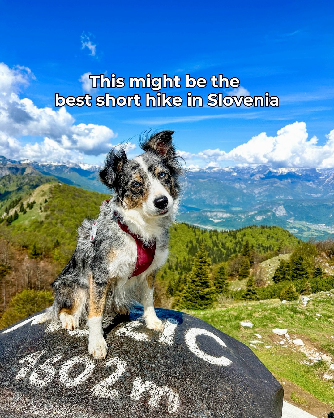 Short Hike to Možic with Panoramic Views