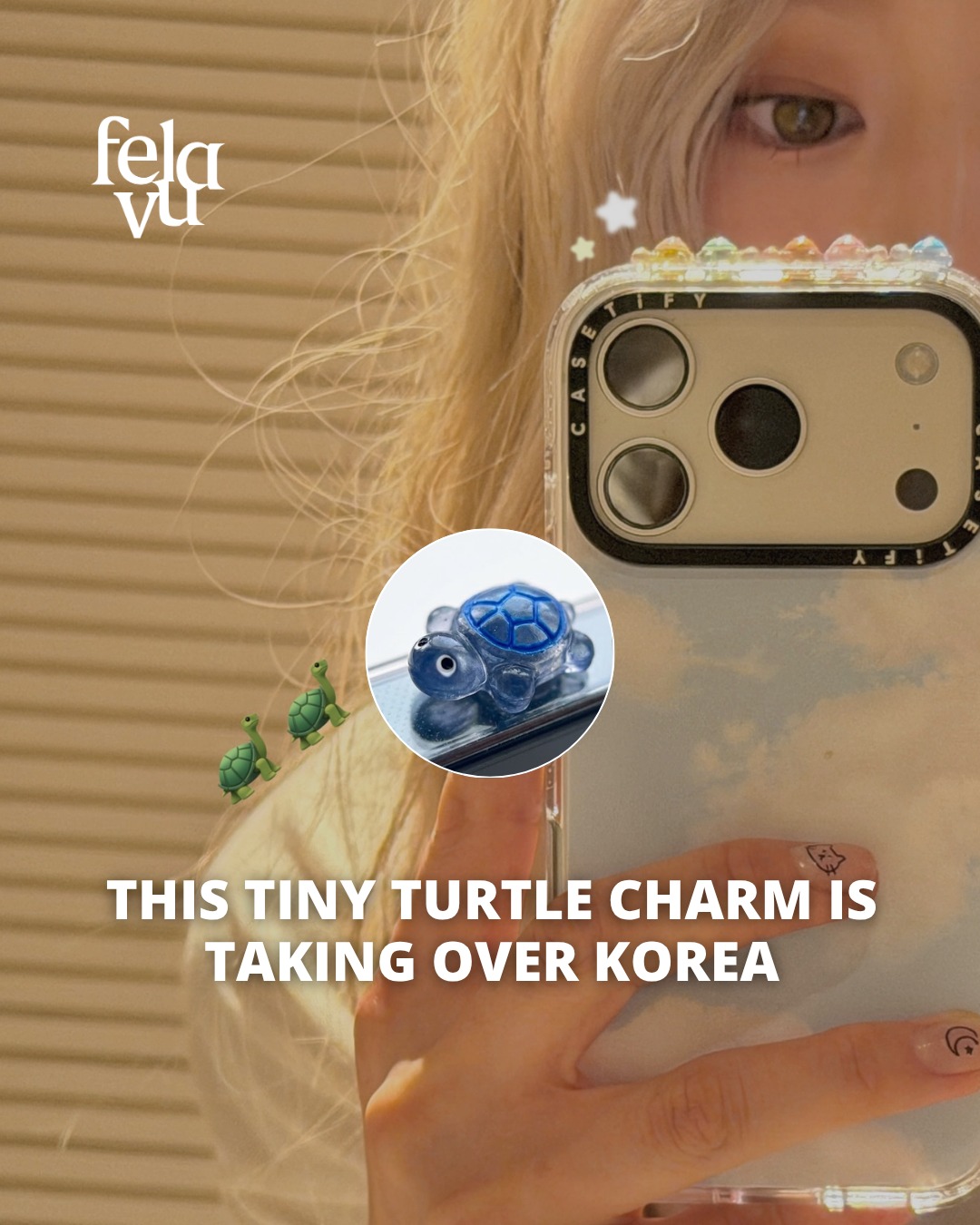 Lucky Turtle Phone Charms Bring K-Pop Style
