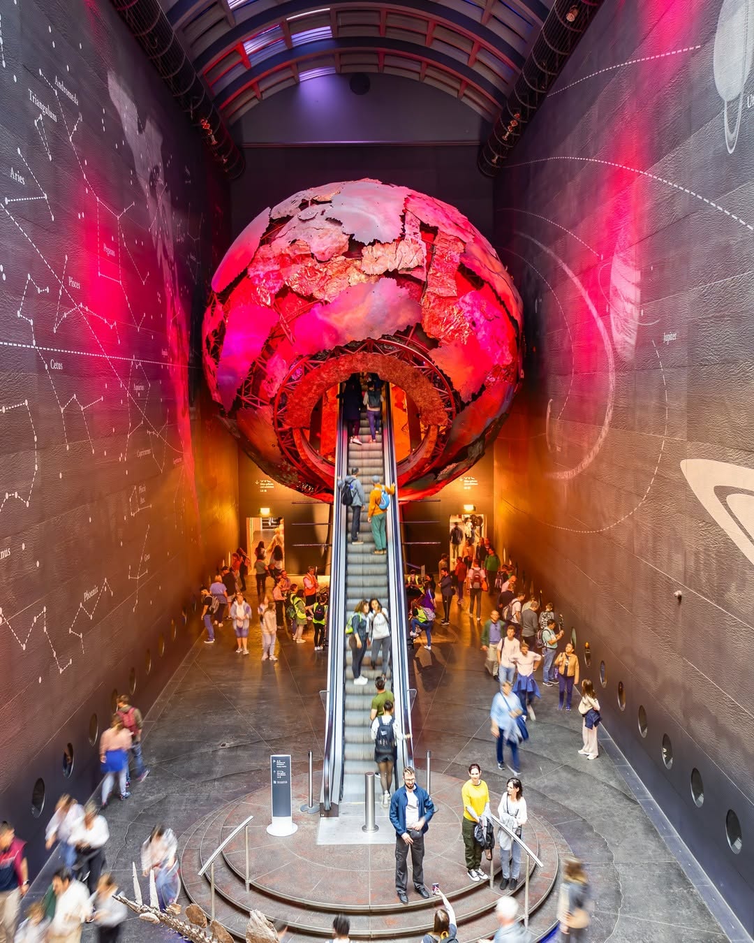 Natural History Museum Exploration