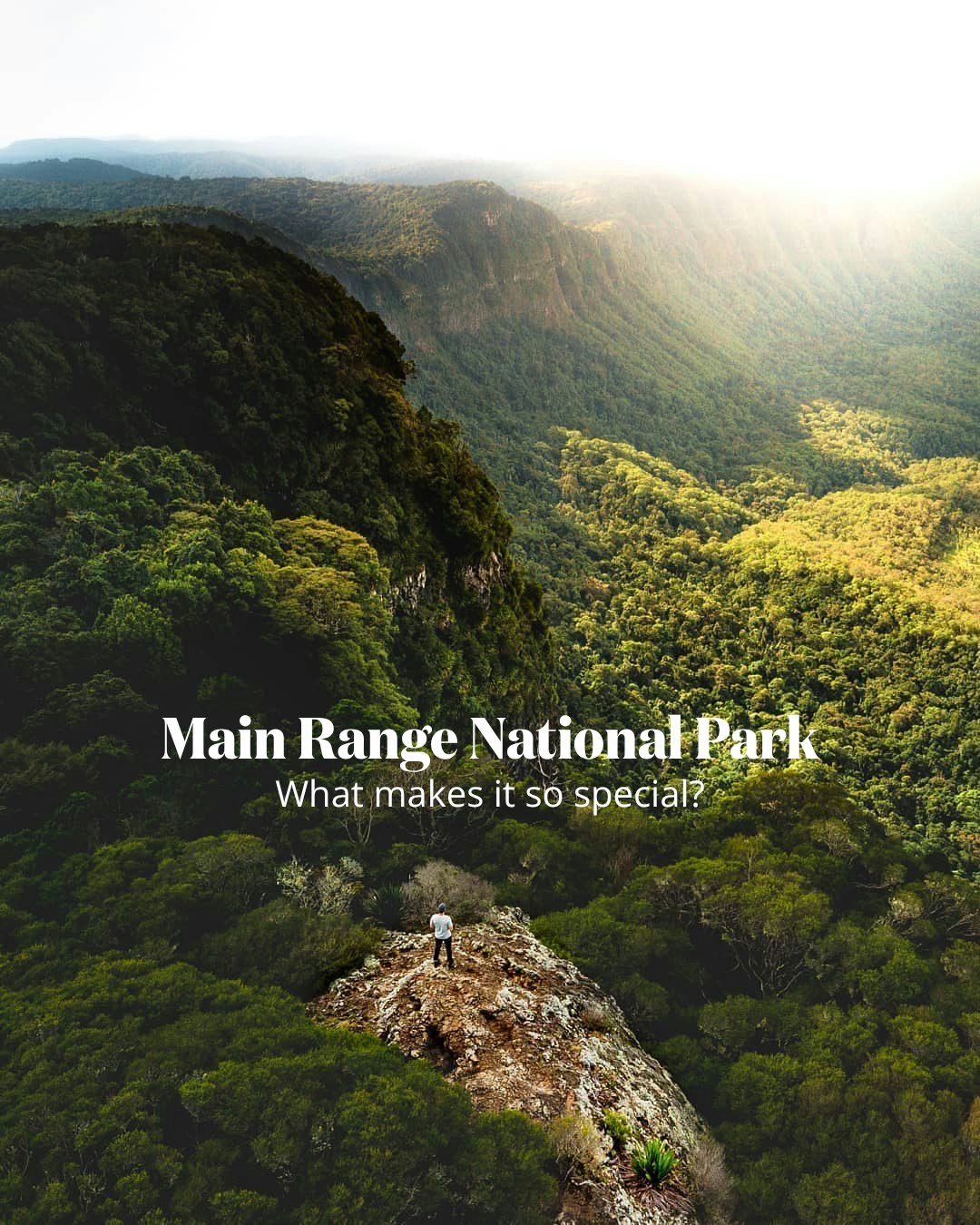 Main Range National Park's Scenic Rim Trails
