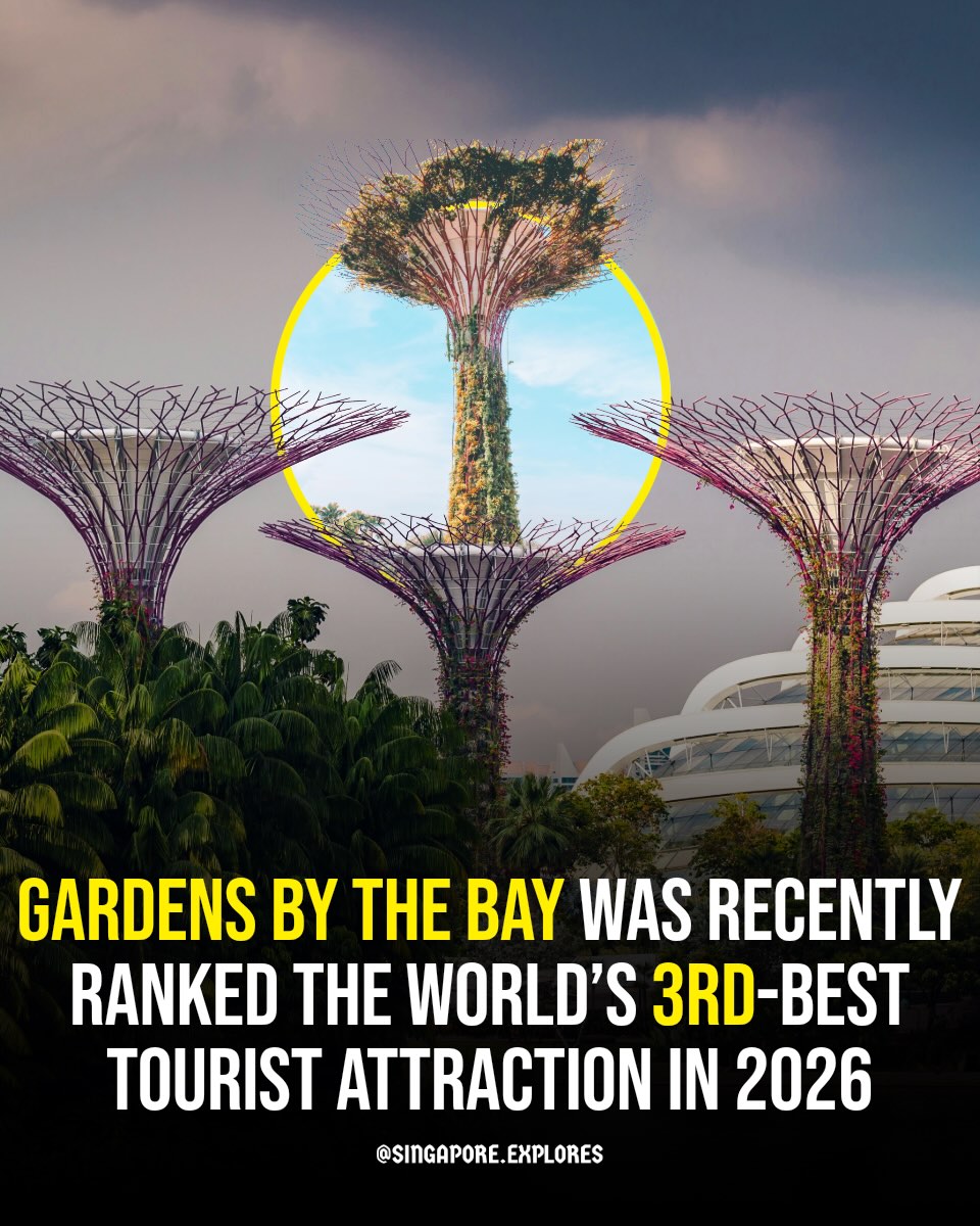 Gardens by the Bay Ranks Third Best Attraction