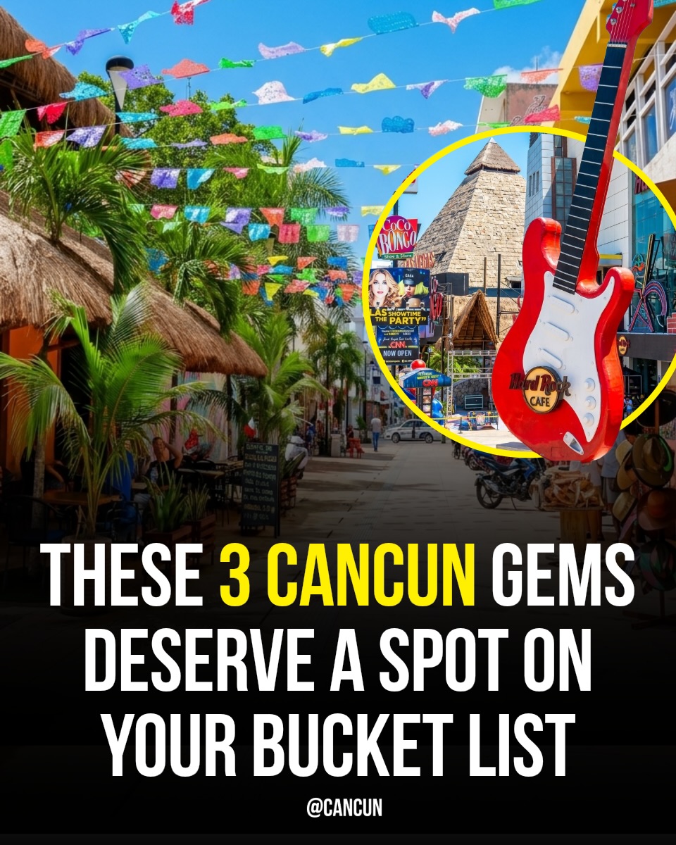 Local Favorites: Cancún's Markets and Park
