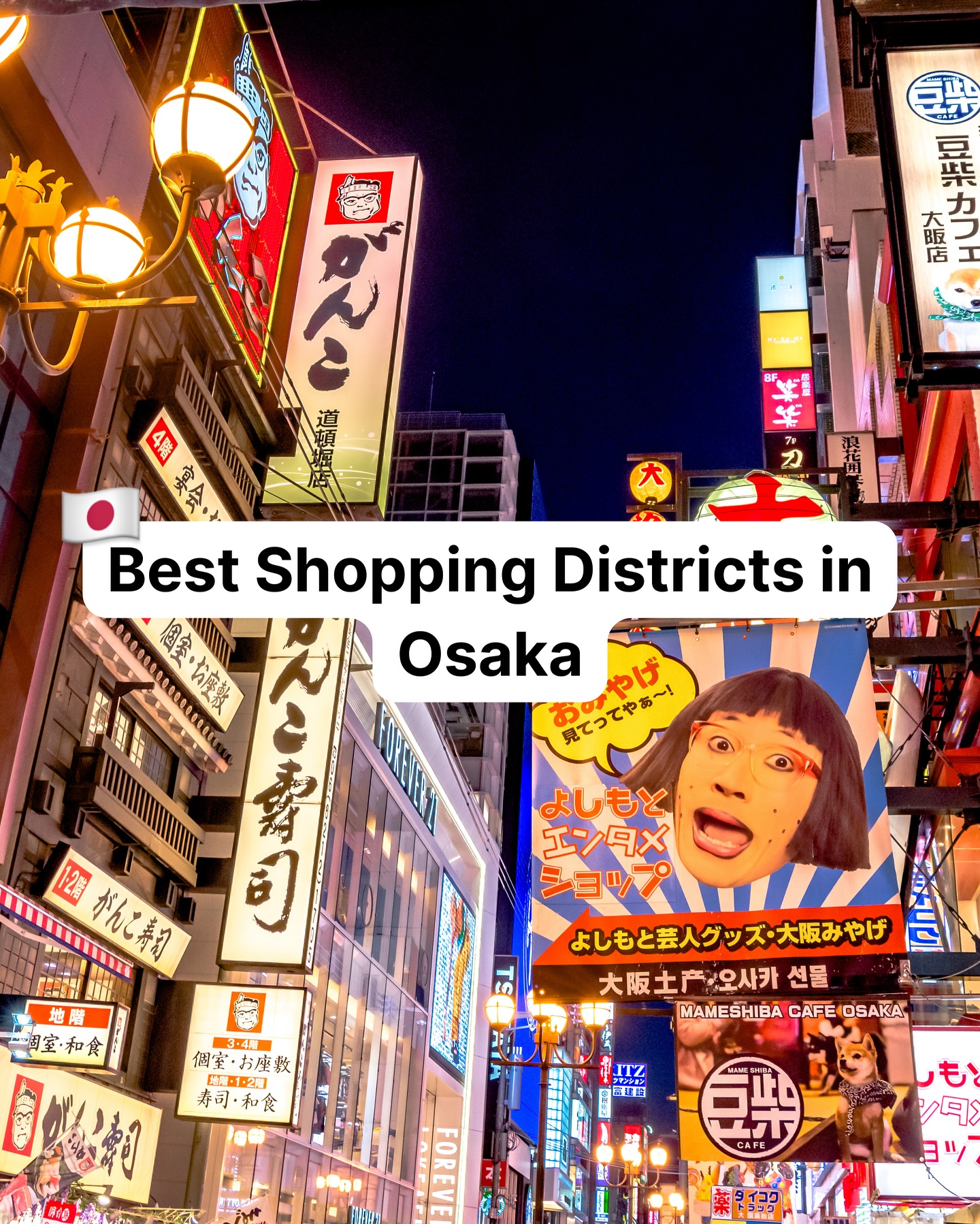 Top Shopping Spots and Attractions in Osaka
