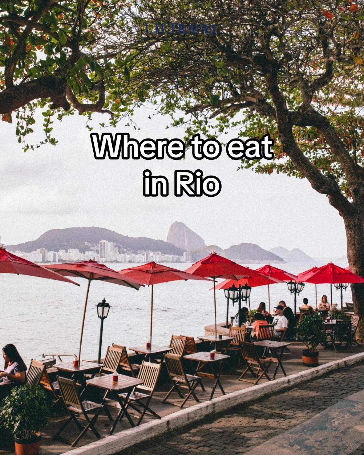 Top Restaurants for Meat Lovers