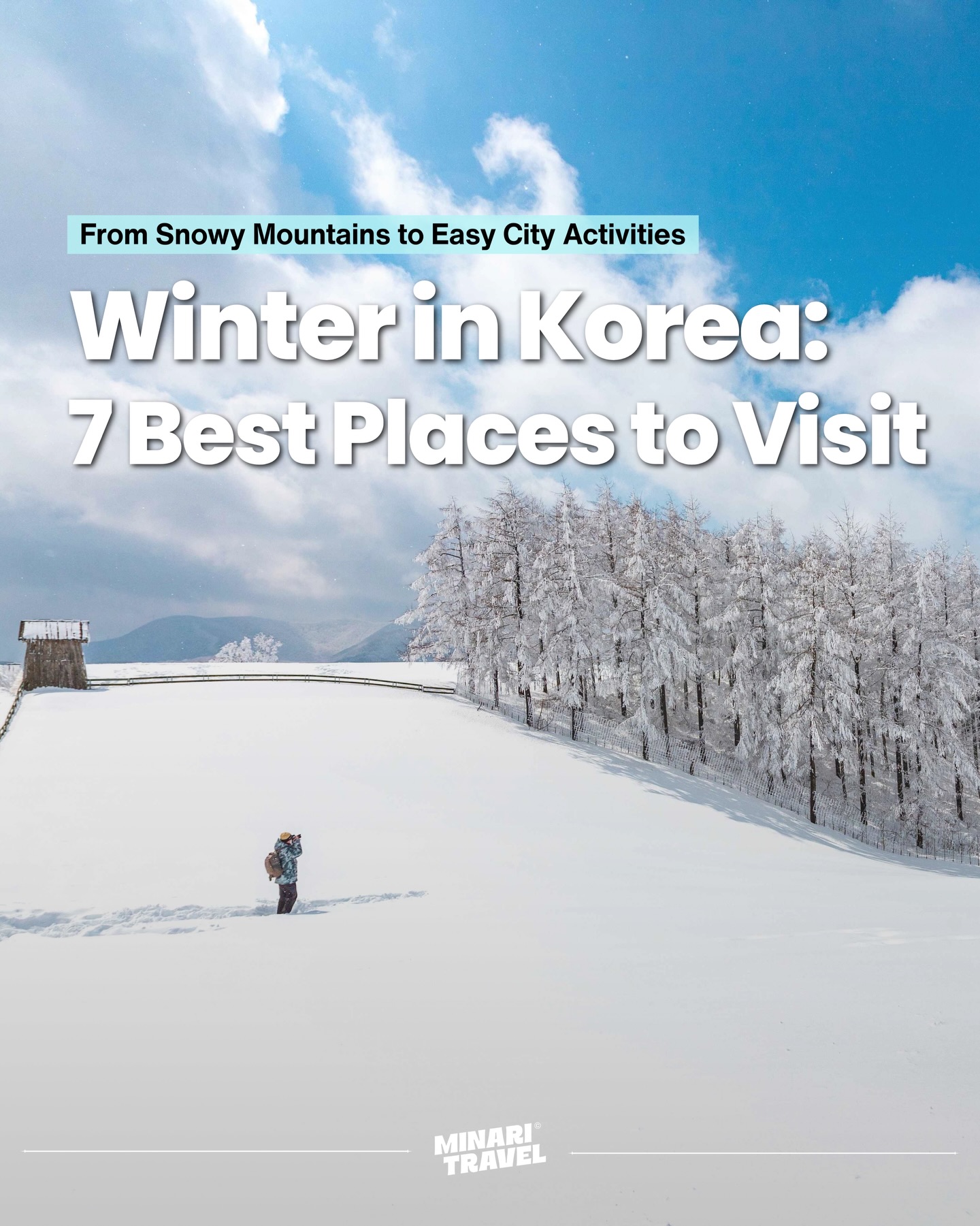 Best Winter Spots for Snow and Activities
