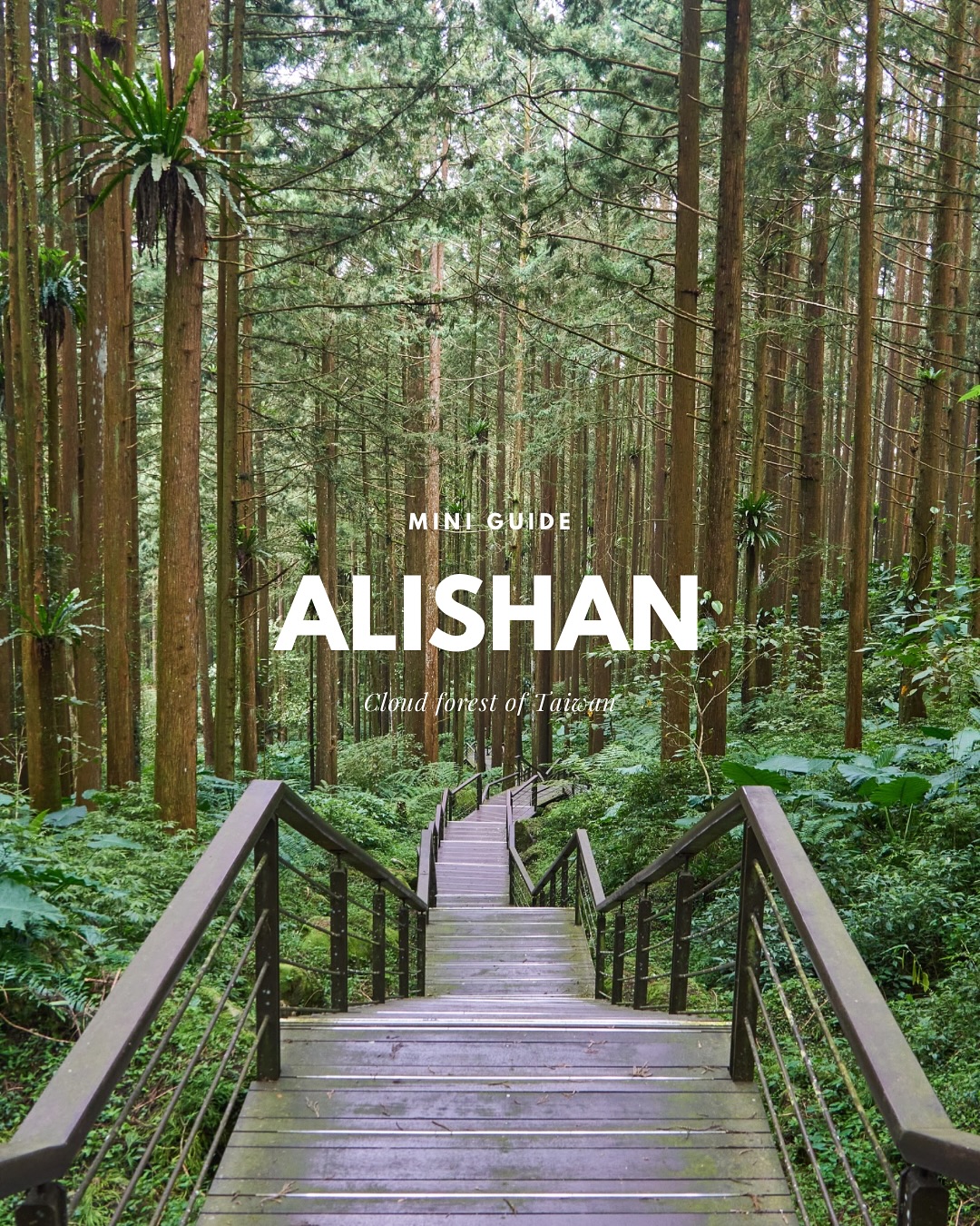 Alishan and Tainan: A Taiwan Alpine Railway Journey
