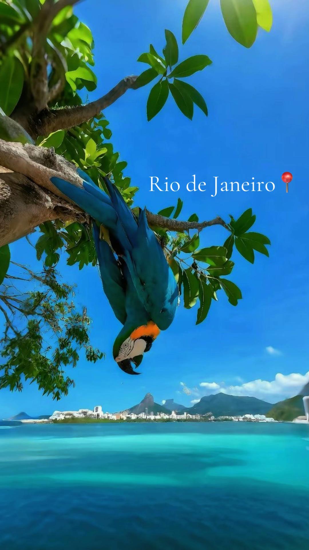 Iconic Rio de Janeiro Attractions And Landmarks