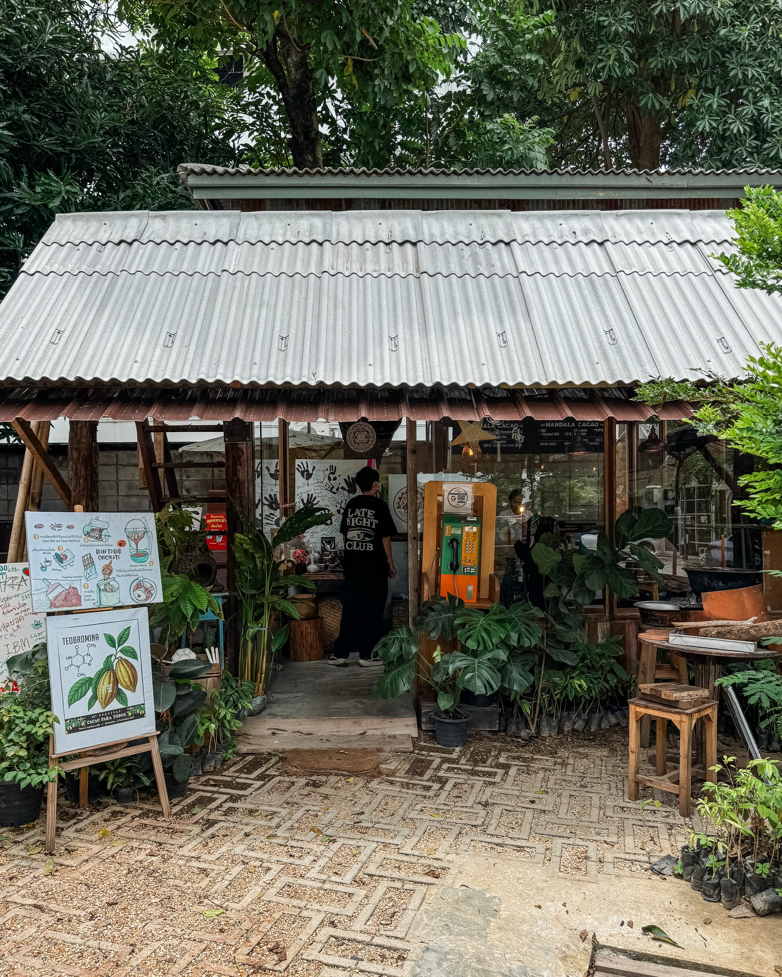 Mandala Cocoa: Chiang Mai's New Craft Chocolate Cafe