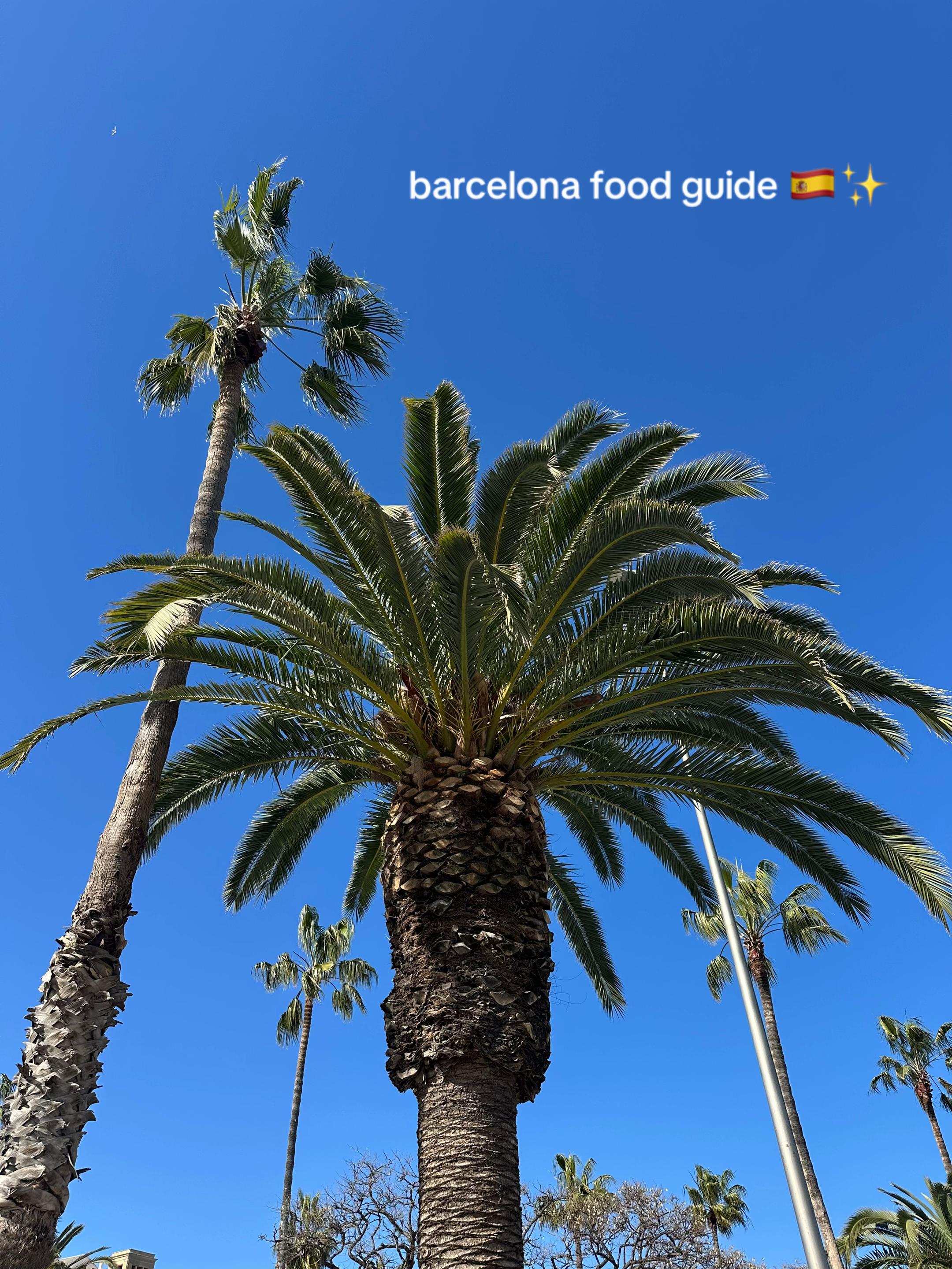 Barcelona's Unique Eateries and Experiences