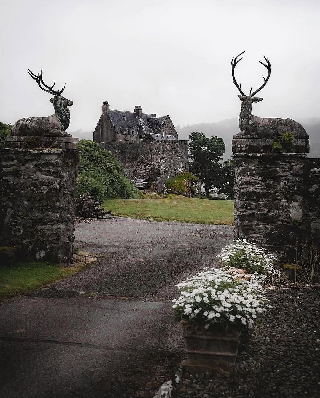 Scotland 🏴 | Travel | Hotels | Tips, Eilean Donan Castle