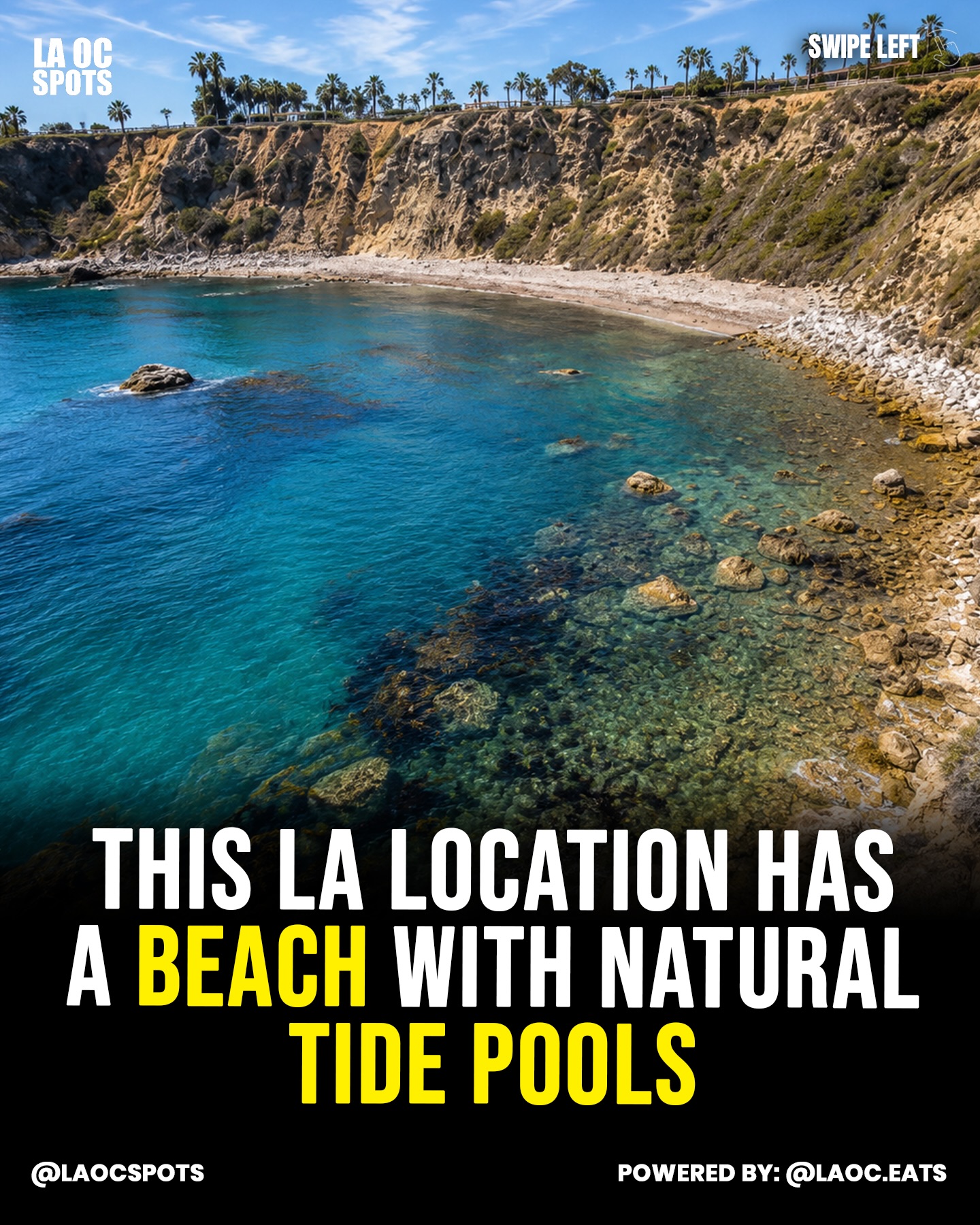 White Point Beach: Los Angeles Tide Pool Exploration