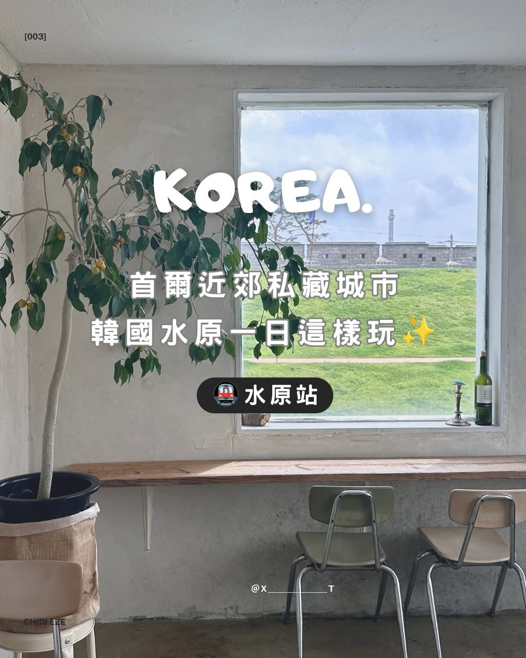 Suwon: History, Shopping, and Food Adventures