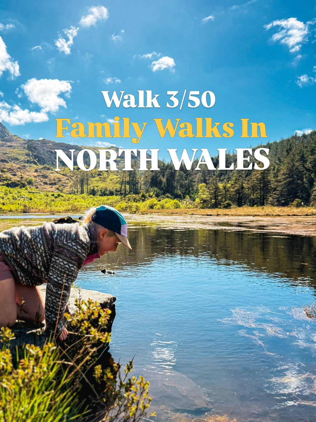 Family Walks Around Llyn Llywelyn