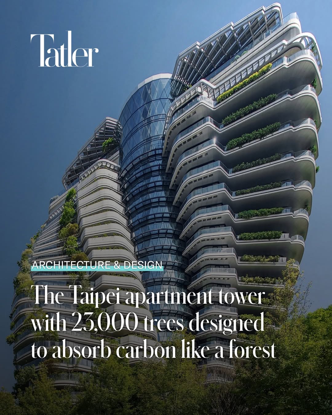 Tao Zhu Yin Yuan: A Carbon-Absorbing Architectural Prototype